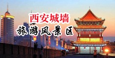 大鸡巴使劲操骚屄爽死了视频中国陕西-西安城墙旅游风景区