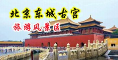 大鸡吧操小逼逼视频中国北京-东城古宫旅游风景区